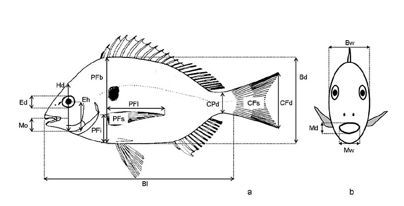 Ecological Archives A020-056-A1