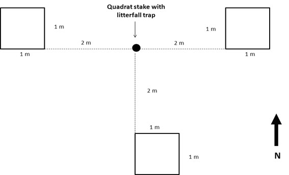 Fig5