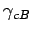 $ \gamma_{cB}$