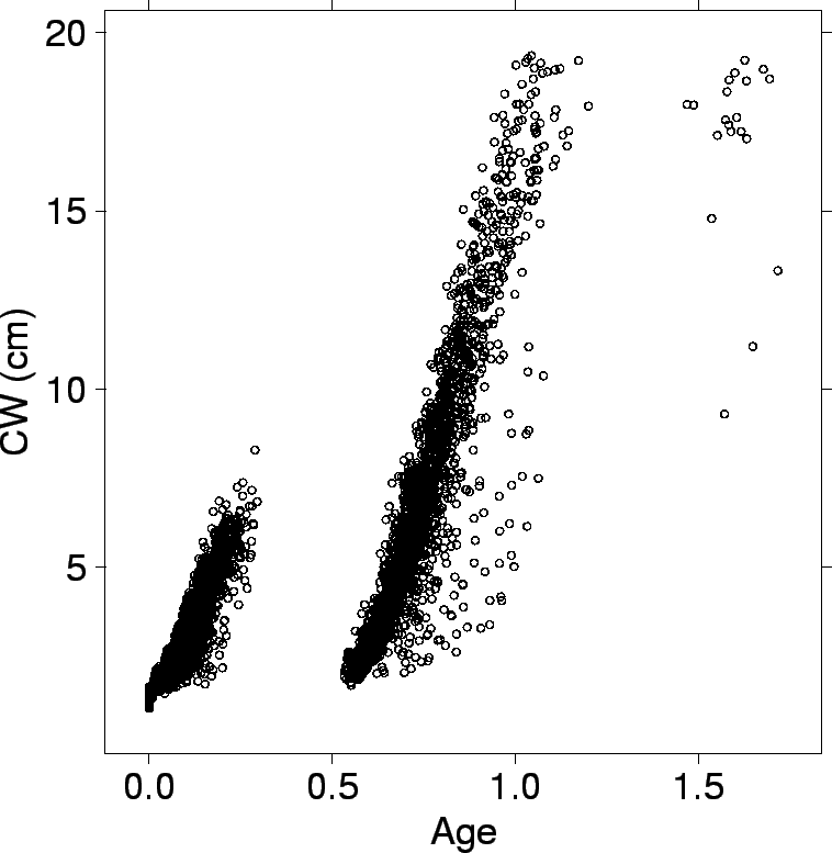 \begin{figure}\begin{center}\epsfig{file=plots/assessment/crabs/crab_age_on_cw.eps, width=7in}\end{center}\end{figure}